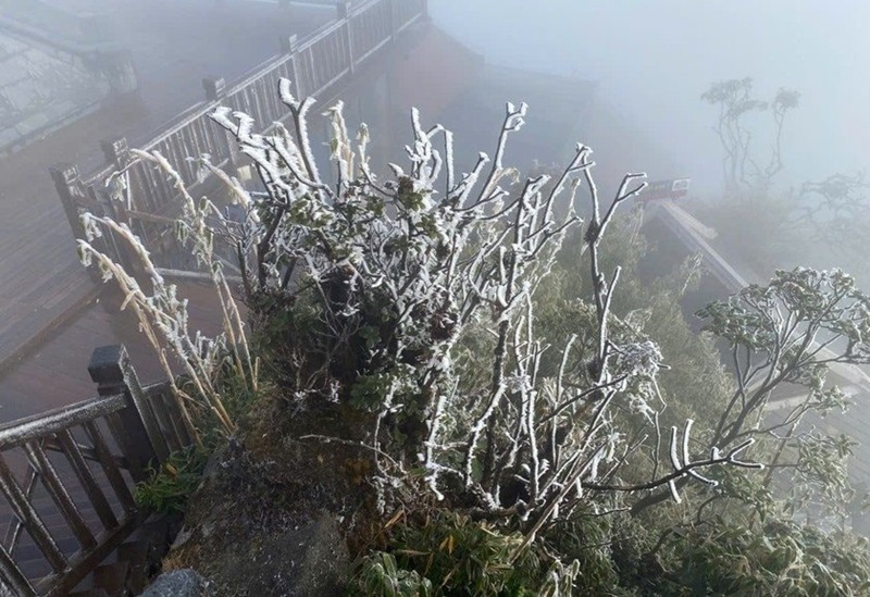 Lao Cai: Ice and snow blanket Fansipan peak