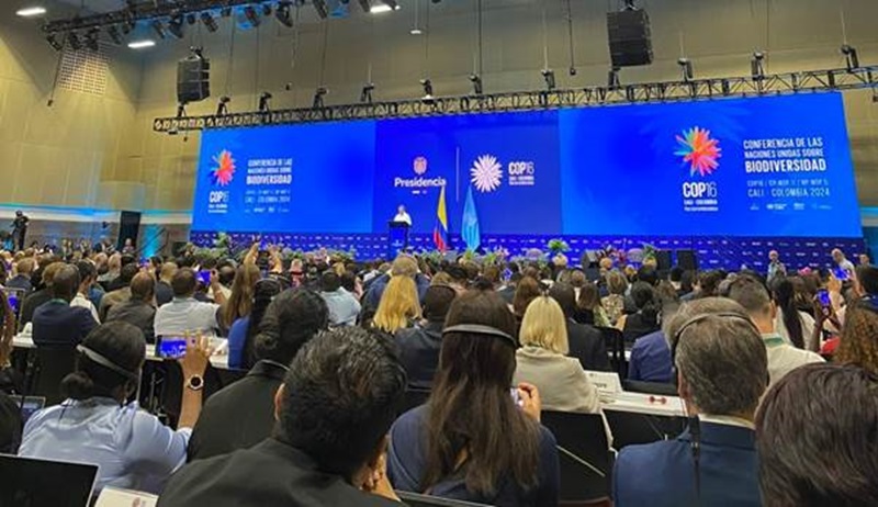 Vietnam strengthens global cooperation in biodiversity conservation at COP16