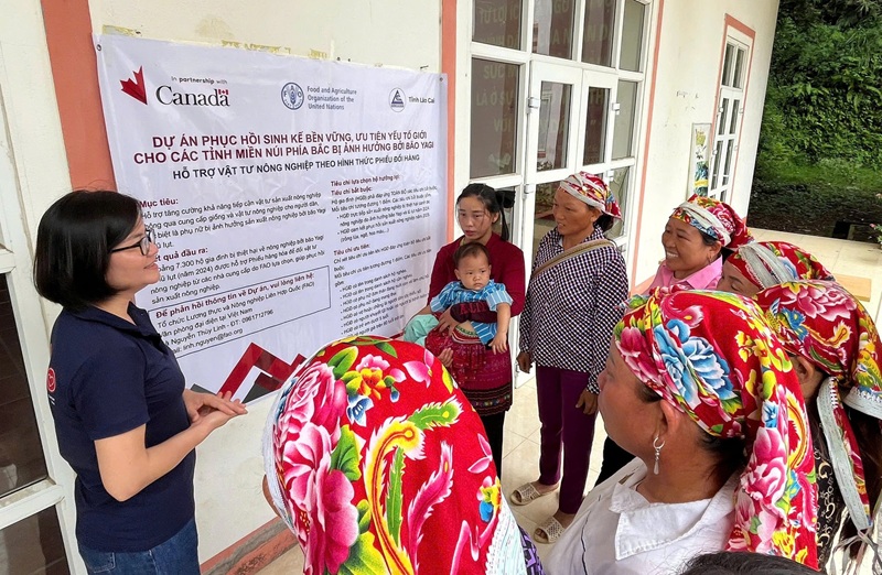 Vietnam’s agrifood momentum: Progress, partnerships, and a sustainable path forward