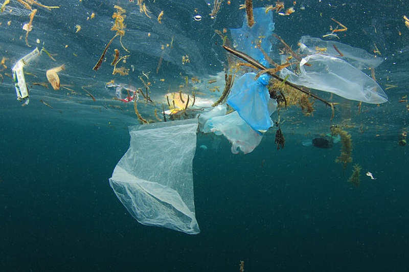 Vietnam's journey to plastic reduction: Global impact and local actions