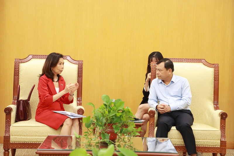 Enhancing Vietnam-UN cooperation in disaster prevention and response