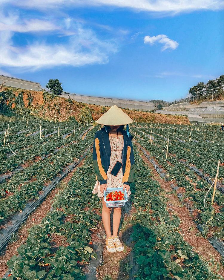 Discover the enchanting beauty of Than Tho lake: A hidden gem in Da Lat