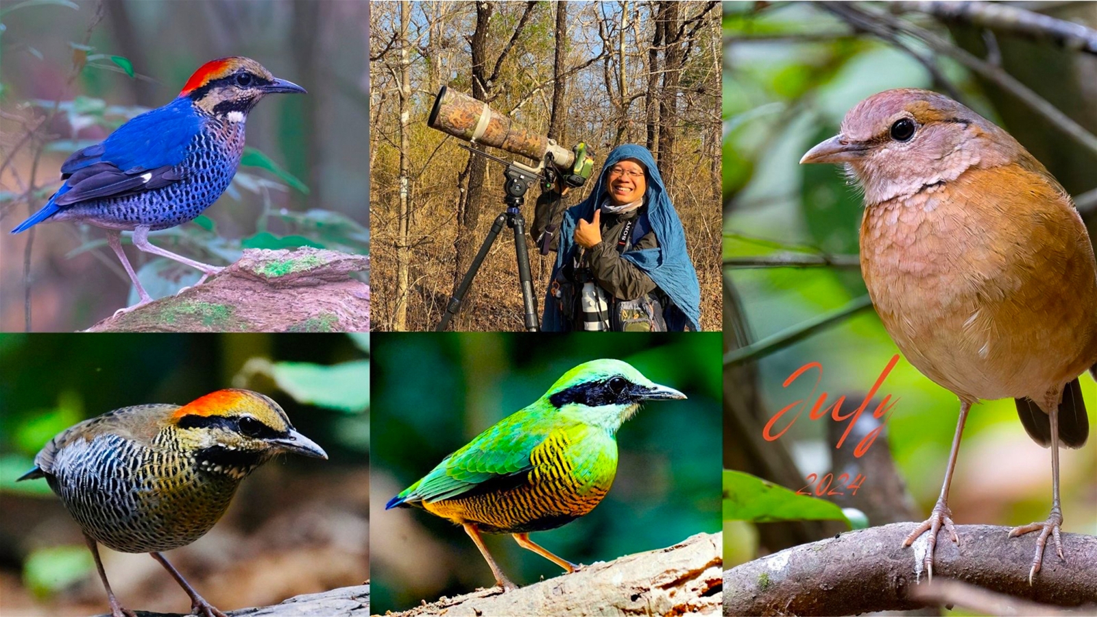 Magnificent flying colors