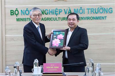 Vietnam - Japan promote biomass energy cooperation, initiate carbon market taskforce